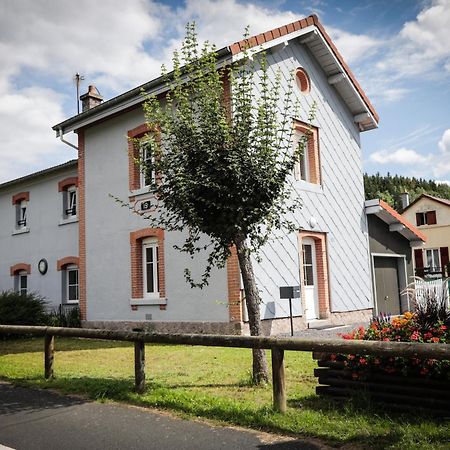 La Halte 19 Villa Ban-sur-Meurthe-Clefcy Buitenkant foto